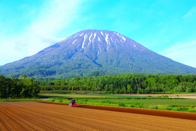 農地の相続をスムーズに行う方法とは？